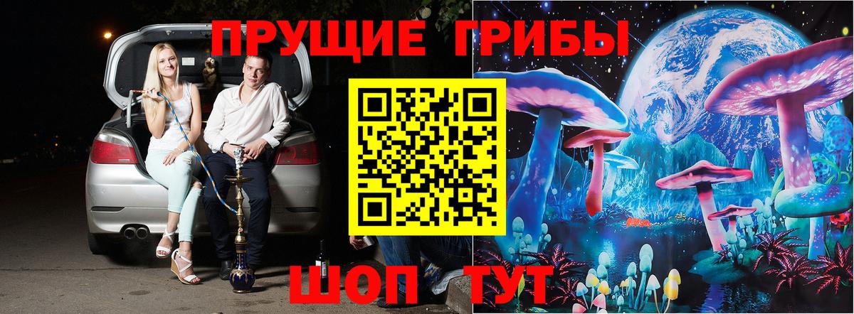 Псилоцибиновые грибы Psilocybine cubensis Орск